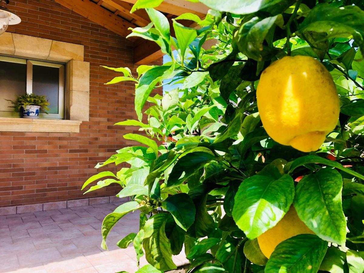 Chalet Con Piscina Privada!!! Altafulla Luaran gambar